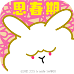 思春期ウサギ(青春期的兔子)