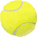 是的你可以(Yes You Can)