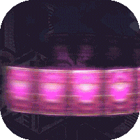 王的计划联姻版