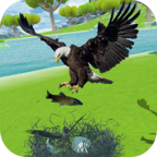 金鹰生存模拟器