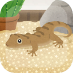 ヤモリ育成(育成疗愈壁虎小游戏)