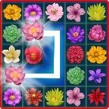 New Onet Blossom Flower Link安卓版