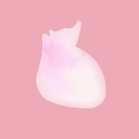 LIFE(医学人体模拟器手机)