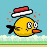 Silly Bird(傻鸟飞行游戏)