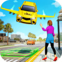 飞往天空中文版