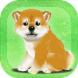 养育柴犬的治愈游戏中文版