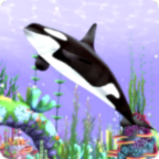 治愈系水族馆安卓正式版