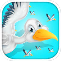 无尽飞翔的小鸟安卓版