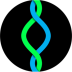 Looper(无限跑步者安卓版)