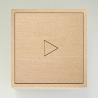 the box(盒子里面有什么安卓版)