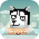 二哈下楼记安卓版