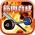筋肉育成计划安卓版