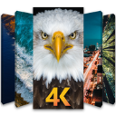 手机4K壁纸appv1.0.6