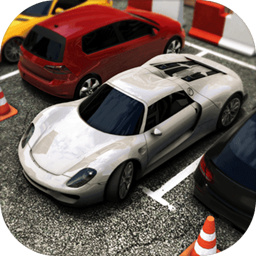 真实停车高手安卓版