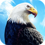 老鹰生存模拟器安卓版