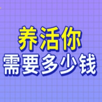 养活你需要多少钱网页版