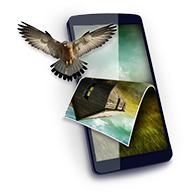 3D Wallpapers安卓版