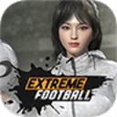 Extreme Football(极限足球安卓版)