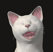 Piano Cats Free(Piano Cats安卓版)