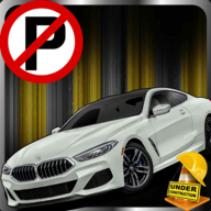 Car Parking Missions Simulator(停车任务模拟器安卓版)