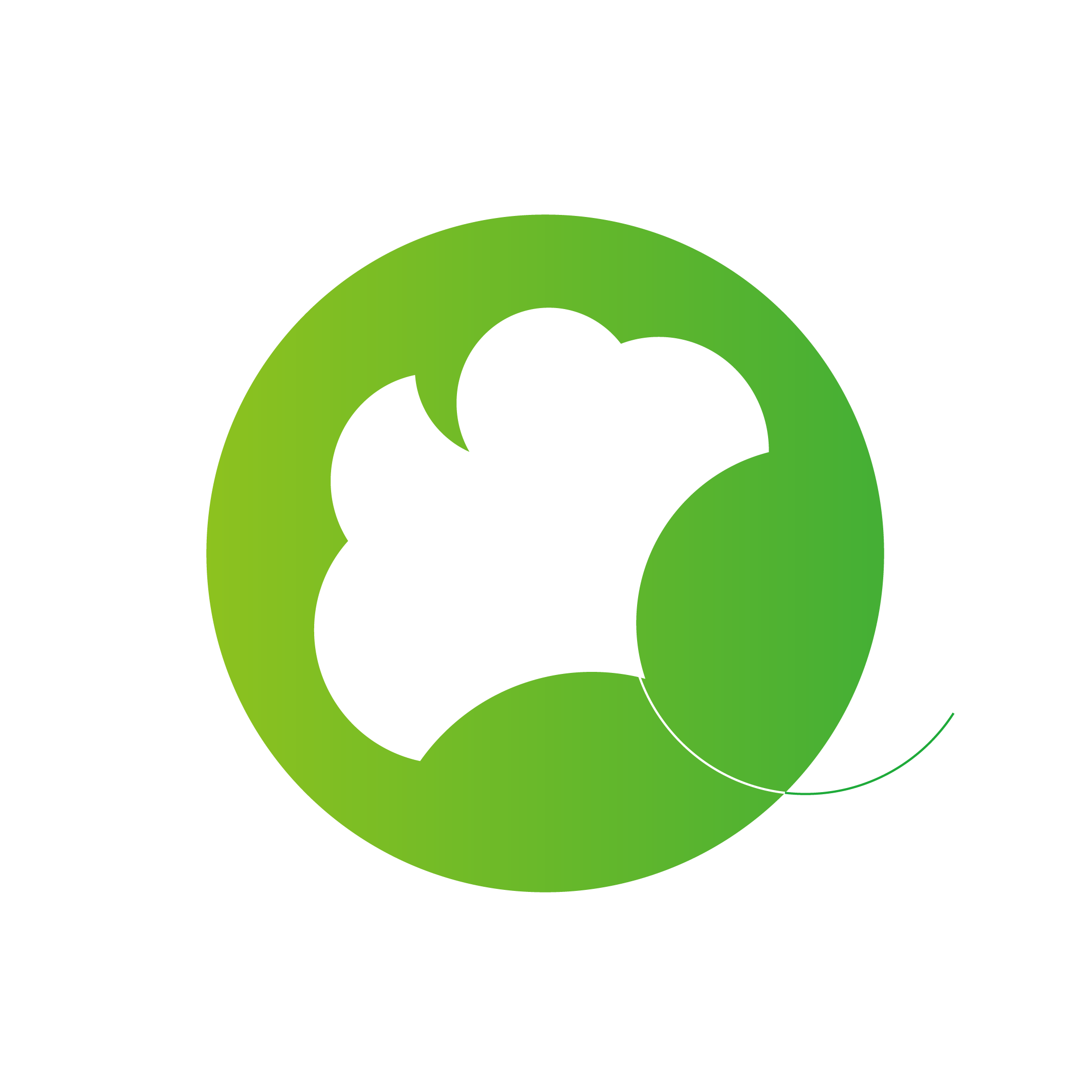 银杏浏览器1.0.1