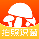 菌窝子4.4.1