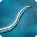 孢子模拟器中文版55.67