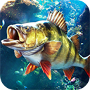 欢乐钓鱼大师v1.0.0.137961