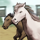 赛马也疯狂3.5.0