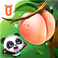 宝宝爱水果游戏9.86.00.00