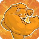 动物之斗竞技场v1.0.11