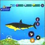 鲨鱼猎人模拟器1.1