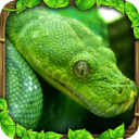 蟒蛇模拟器手机版1.5