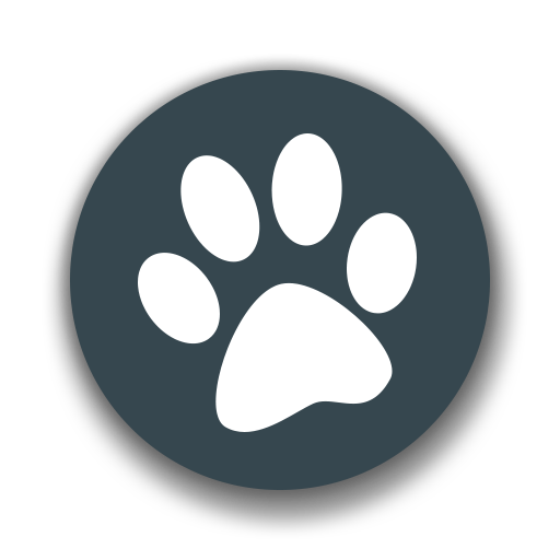 兽音译者在线翻译1.5