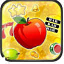 大满贯大四喜水果机单机手机版游戏v1.0.4