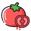 番茄轻断食app3.4.0
