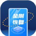 金刚恢复大师1.0.0