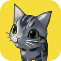 猫咪小能手0.1
