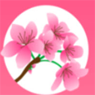桃花林5.6.1