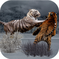 白虎模拟器手机版