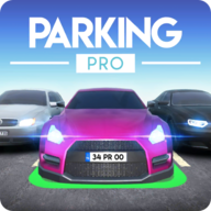 Parking Pro(职业停车安卓版)