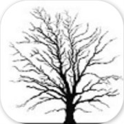 Time(无人生还之十秒挑战手游)