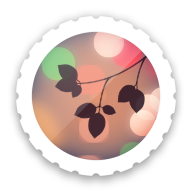 索尼背景虚化插件直装版