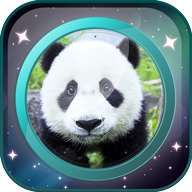 我的前世今生安卓版