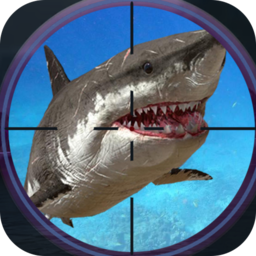 渔夫达人安卓版