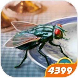 苍蝇模拟器中文手机版