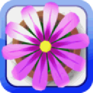 Flower Garden中文版