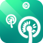 春之旅游戏完整版