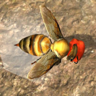 Bee Nest Simulation 3D(蜂巢模拟器3d手游)
