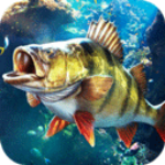 欢乐钓鱼大师无限金箱子版1.0.0.48207